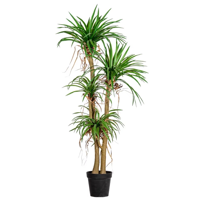 Dracaena Marginata - Árvore doméstica interna/externa simulada Dracaena Marginata
