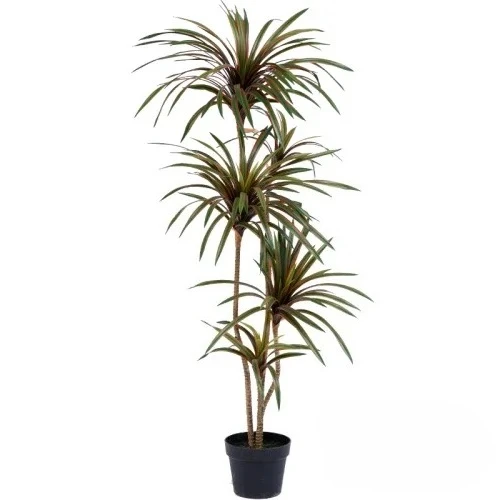 Dracaena Marginata - Árvore Artificial Colorida com Efeito de