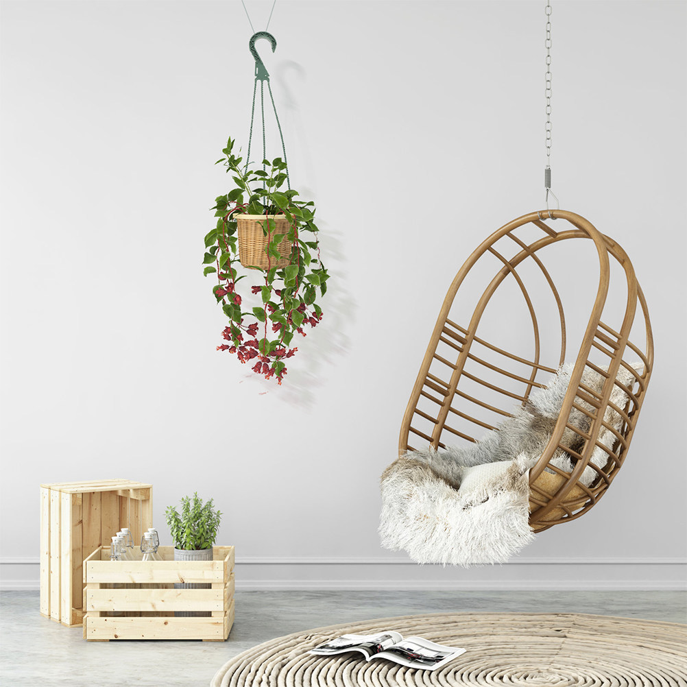 Spider Plant Hanging - Conjunto de 5 Ganchos Modernos e