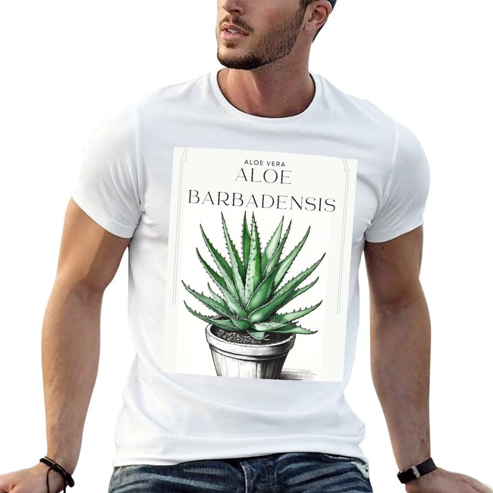 Aloe Vera Pot - Aloe Vera Botânico em vaso, desenho