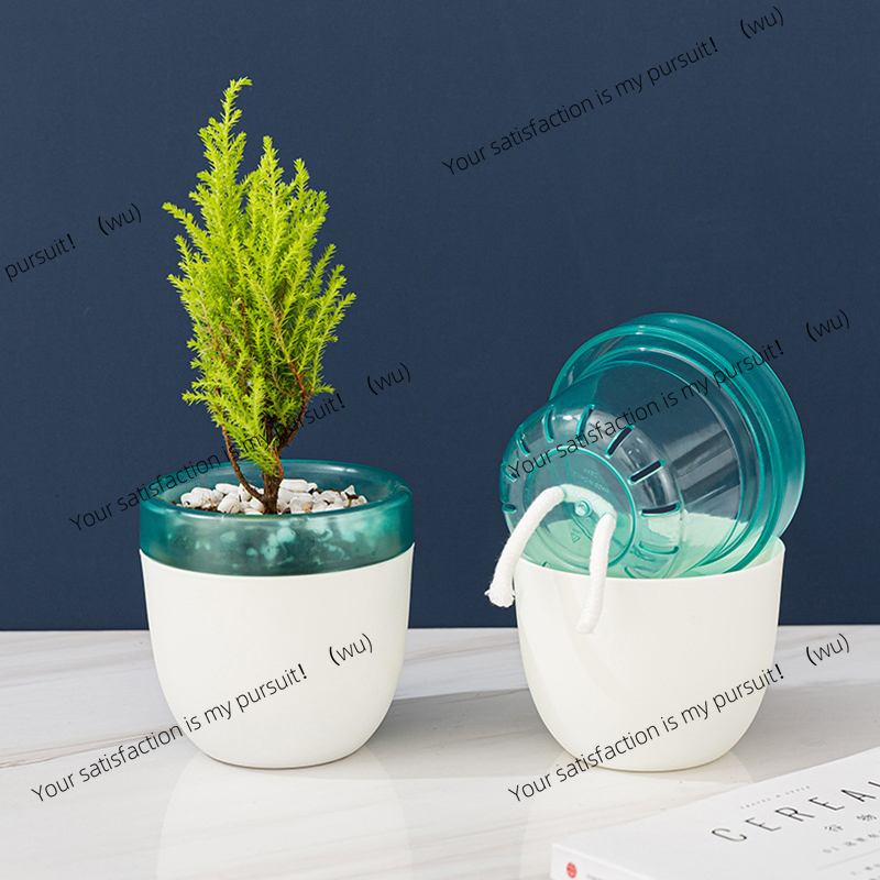 Aloe Vera Pot - Vaso de flores preguiçoso com absorção
