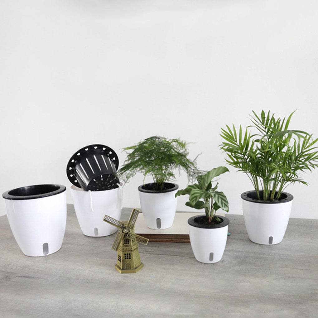 Aloe Vera Pot - Vasos de plantas brancos portáteis e