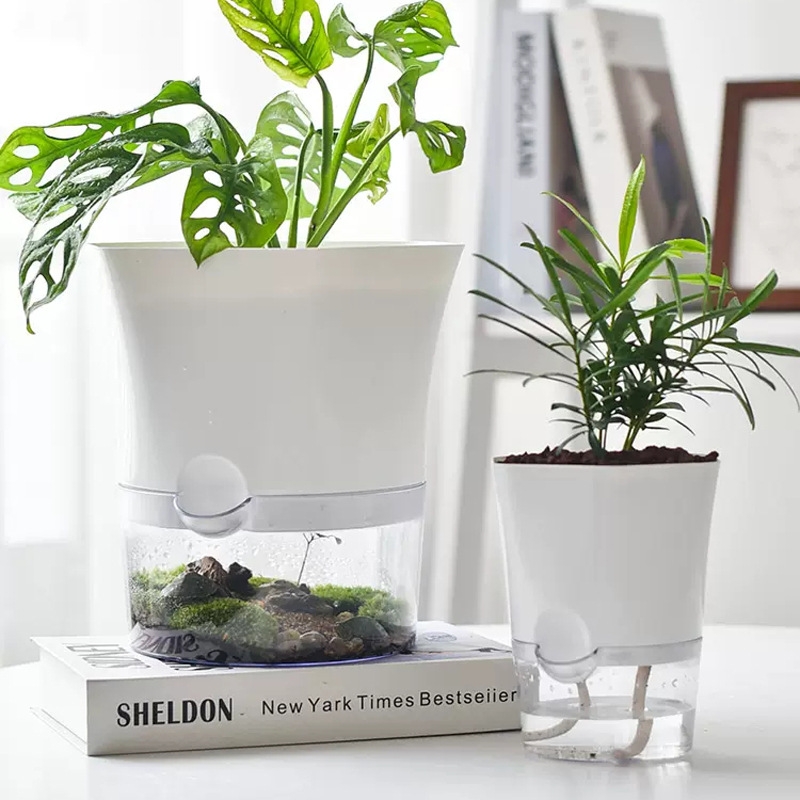 Aloe Vera Pot - Vasos de plantas de plástico transparente