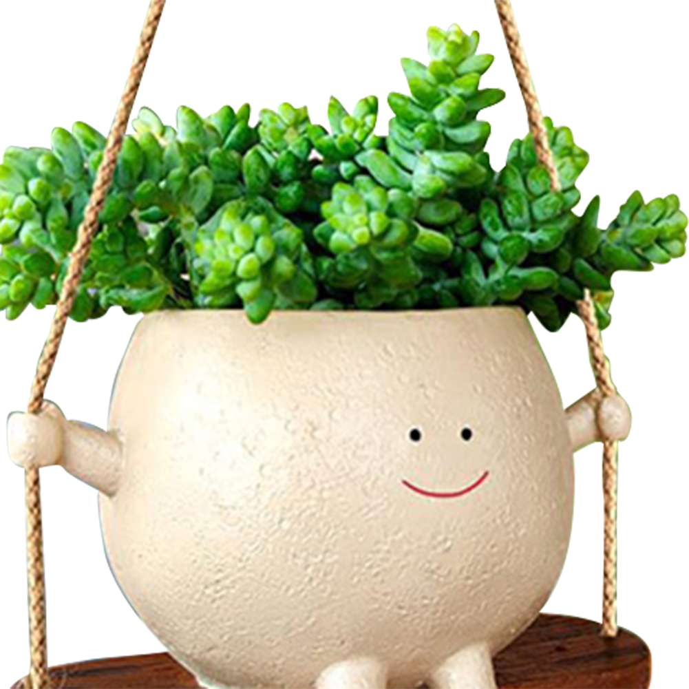 Cestas de cabide de plantas ad - Echeveria Succulent avaliação e preço