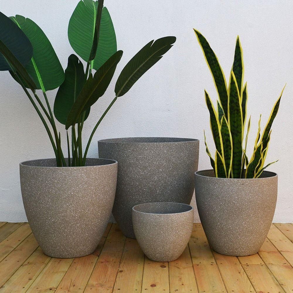 Vaso de flores de pedra de imi - Aloe Vera Pot avaliação e preço