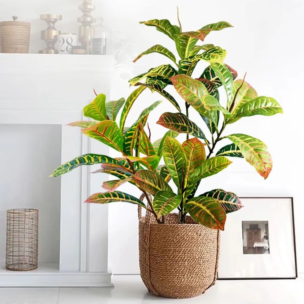 21-120cm planta artificial fal - Dracaena Marginata avaliação e preço