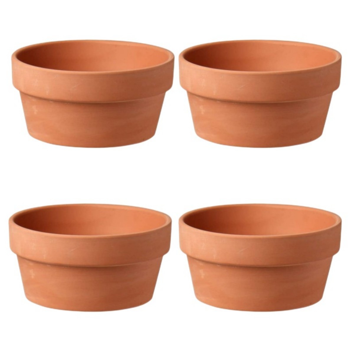 Vasos de terracota para flores - Echeveria Succulent avaliação e preço