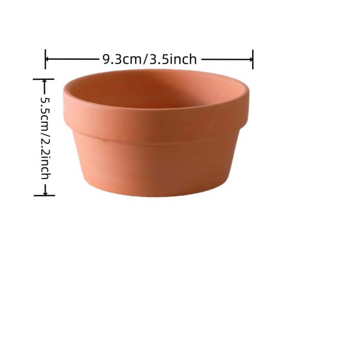 Vasos de terracota para flores - Echeveria Succulent avaliação e preço