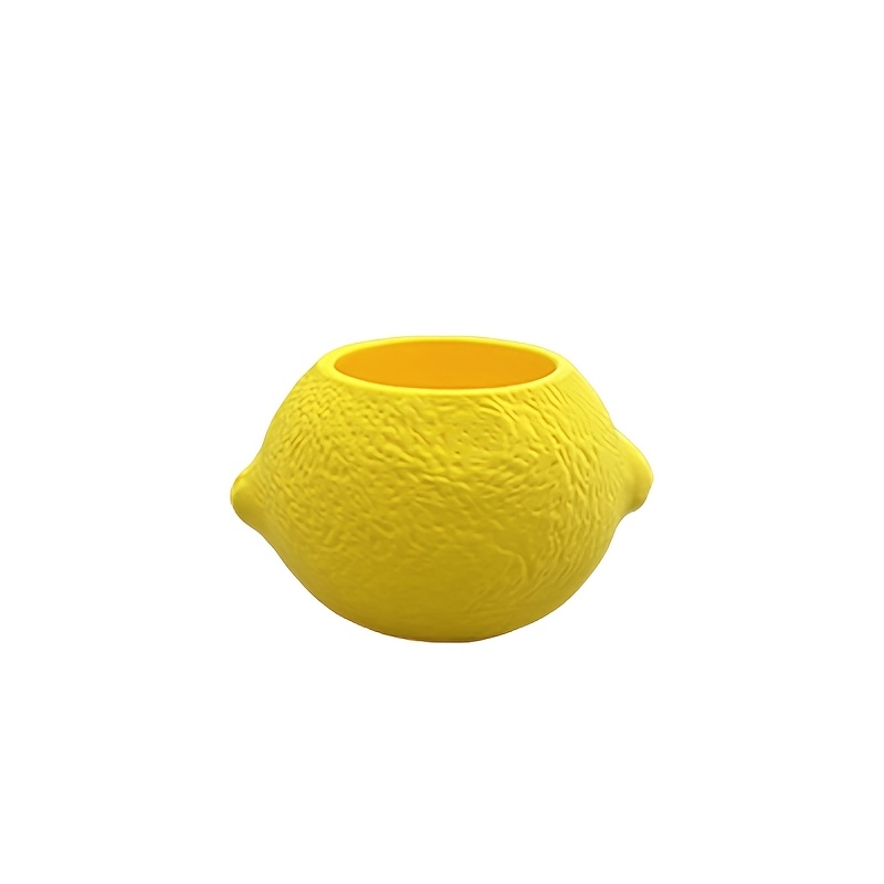 Vaso Decorativo em Forma de Li - Echeveria Succulent avaliação e preço