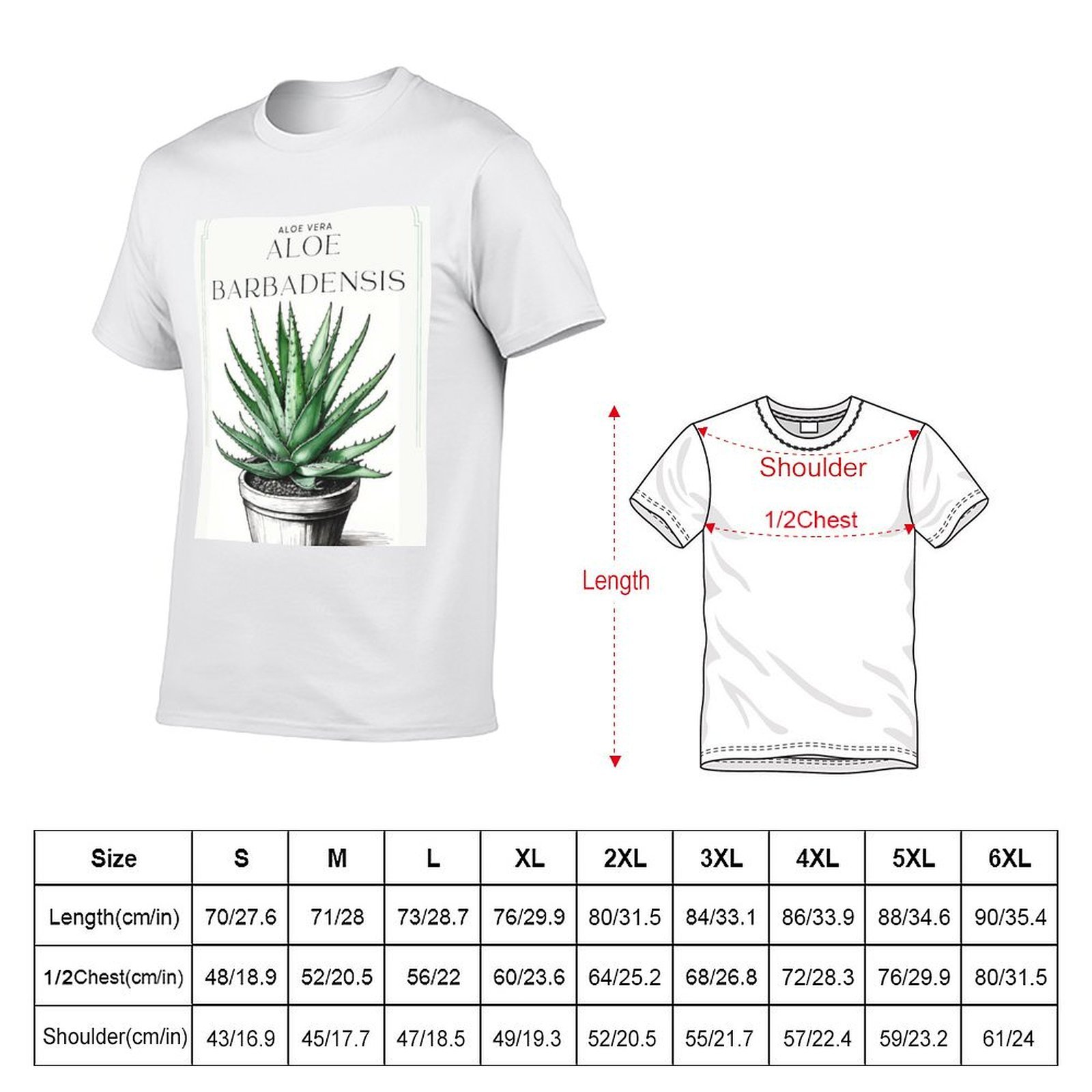 Aloe Vera Botânico em vaso, de - Aloe Vera Pot avaliação e preço