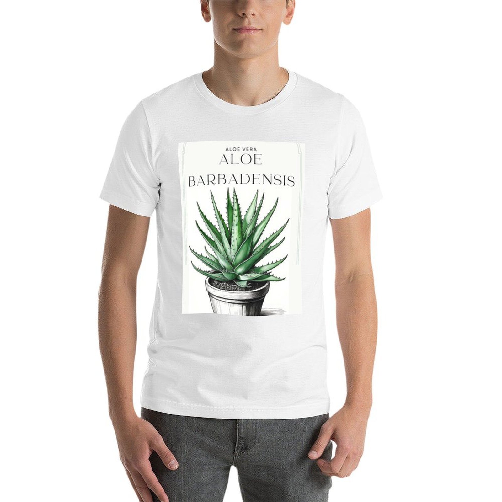 Aloe Vera Botânico em vaso, de - Aloe Vera Pot avaliação e preço