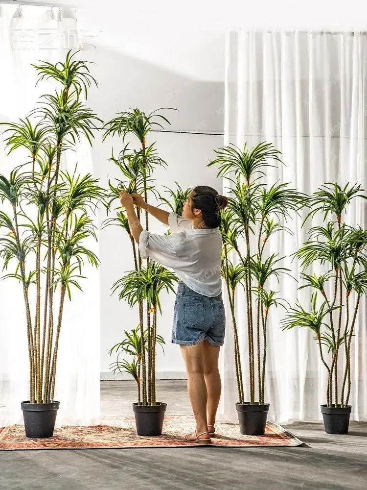 Dracaena de Simulação, Dracaen - Dracaena Marginata avaliação e preço