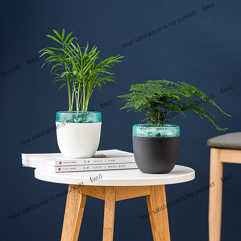 Vaso de flores preguiçoso com  - Aloe Vera Pot avaliação e preço