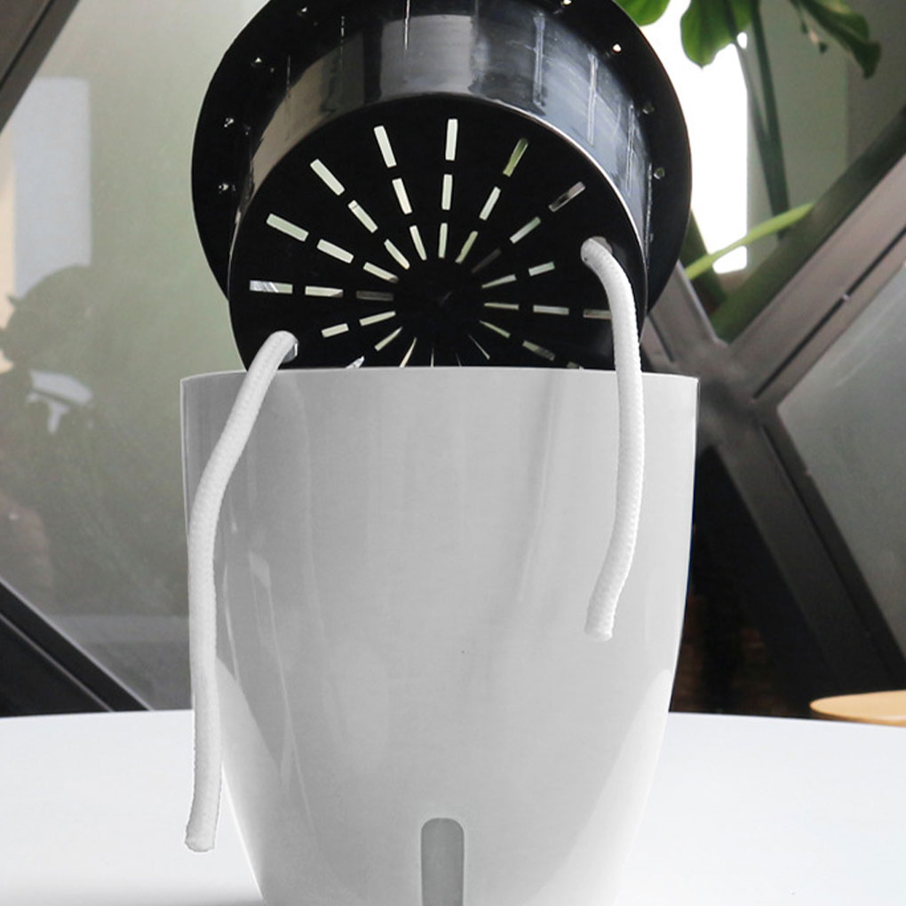Vasos de plantas brancos portá - Aloe Vera Pot avaliação e preço