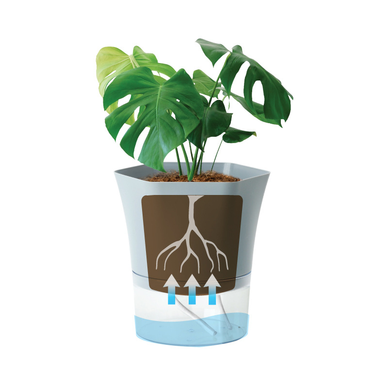 Vasos de plantas de plástico t - Aloe Vera Pot avaliação e preço