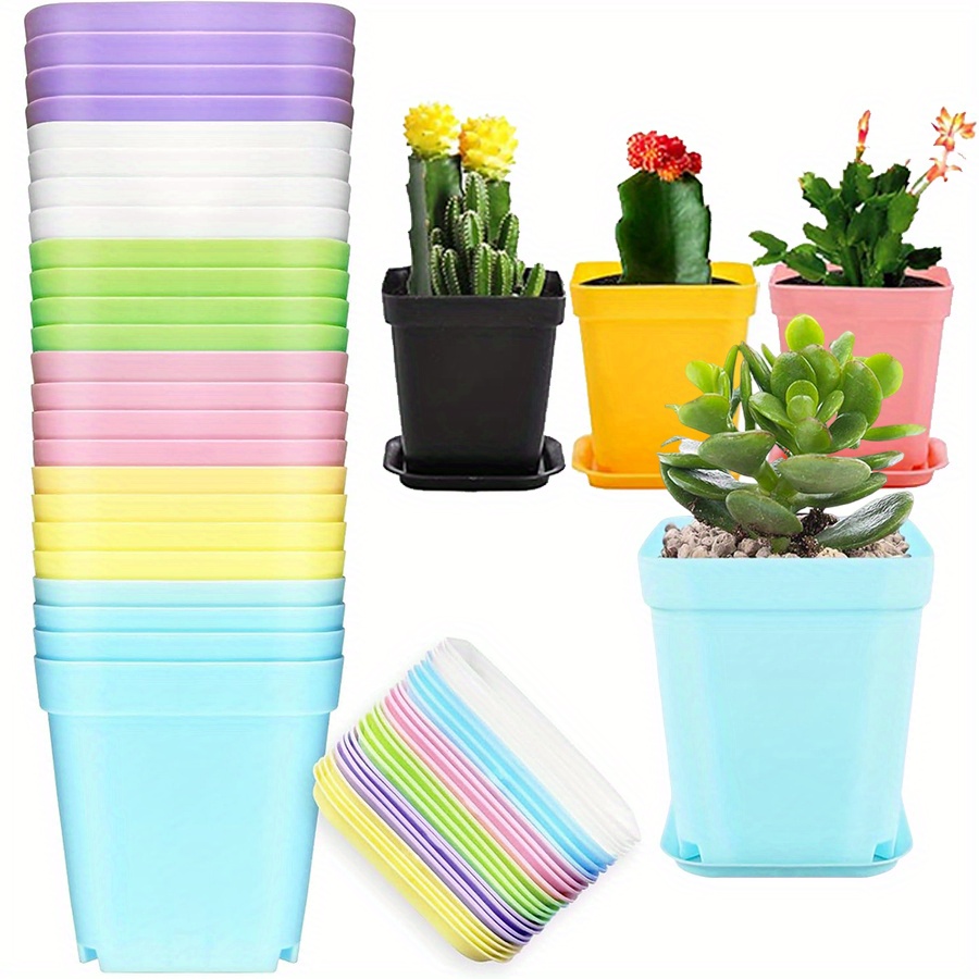 12 vasos quadrados de plástico - Aloe Vera Pot avaliação e preço