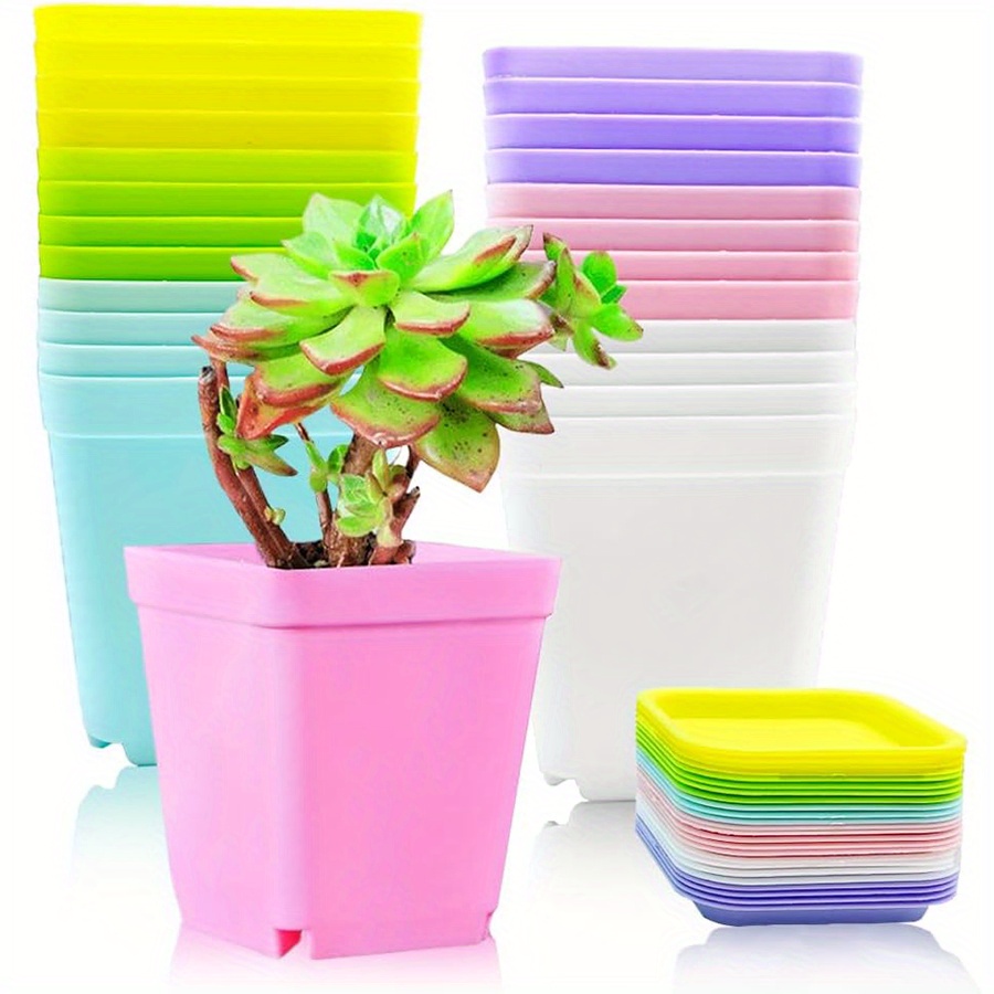12 vasos quadrados de plástico - Aloe Vera Pot avaliação e preço