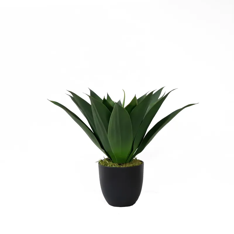Planta Artificial de Aloe Vera - Aloe Vera Pot avaliação e preço