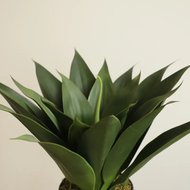 Planta Artificial de Aloe Vera - Aloe Vera Pot avaliação e preço