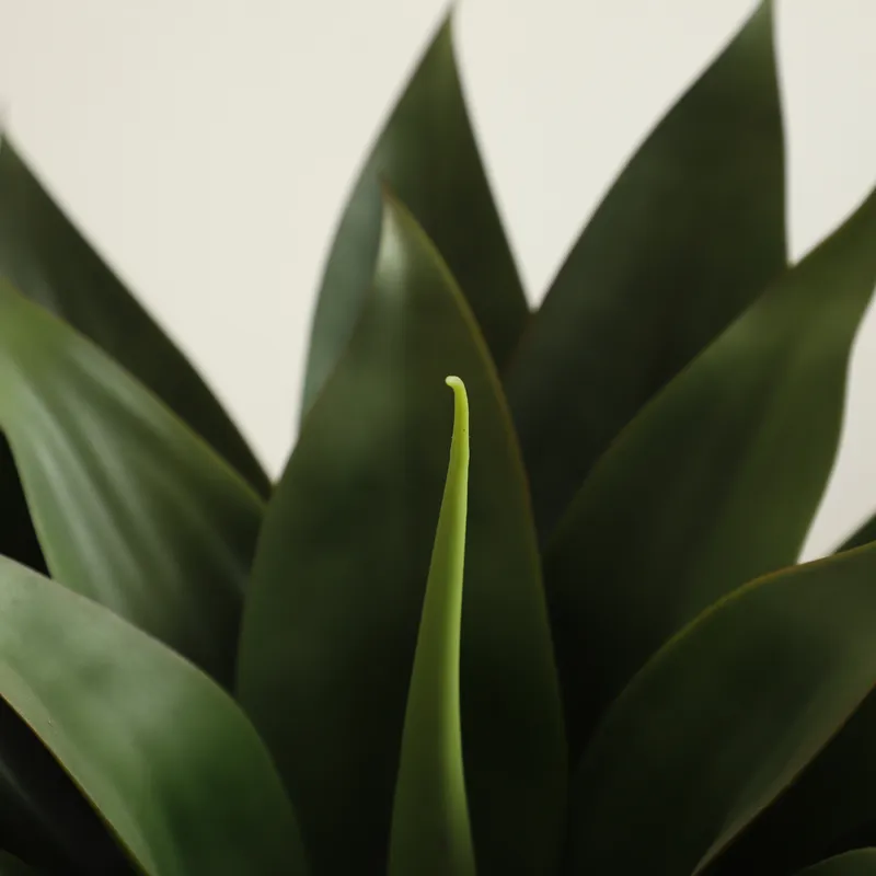 Planta Artificial de Aloe Vera - Aloe Vera Pot avaliação e preço