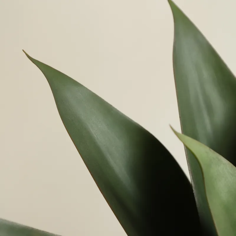 Planta Artificial de Aloe Vera - Aloe Vera Pot avaliação e preço